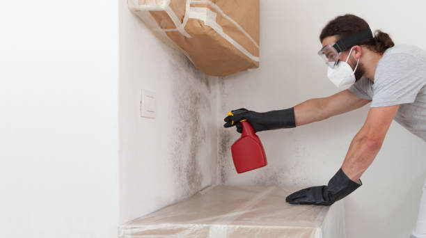 Professional Attic Mold Removal technician working in Monroe Township, NJ