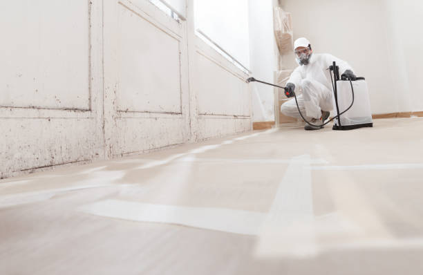 24/7 Emergency Attic Mold Removal experts in Monroe Township, NJ