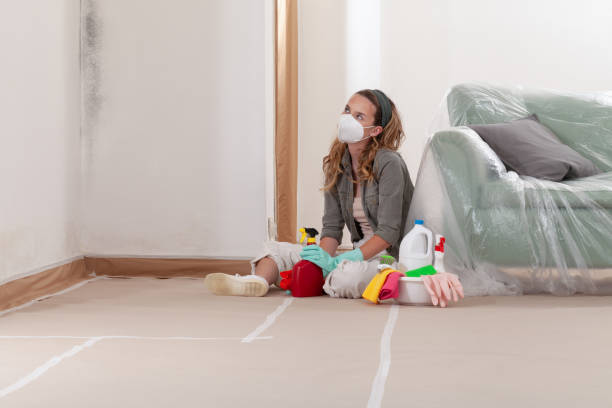Reliable Mold Cleanup contractor in Monroe Township, NJ by Cheap Mold Removal